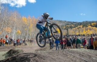 BJC Alumni Newsletter